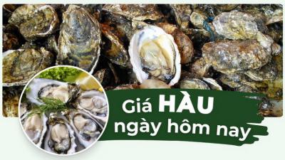 1kg hàu giá bao nhiêu? Cập nhật giá hàu mới nhất
