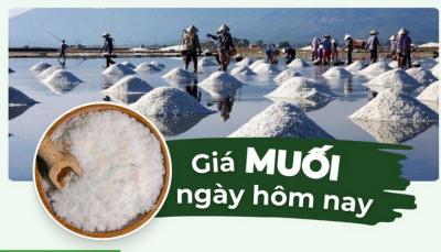 1kg muối bao nhiêu tiền? Cập nhật giá các loại muối mới nhất