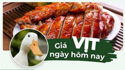 1kg vịt bao nhiêu tiền? Giá vịt hôm nay