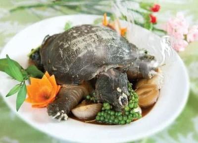 5+ Địa chỉ mua bán ba ba thịt tươi sống, chất lượng tại TP HCM