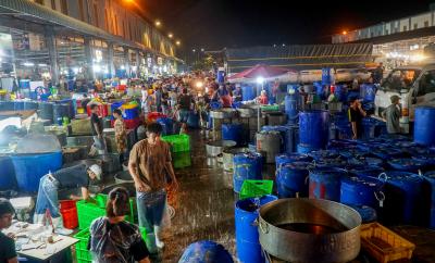 Cập nhật giá tôm chợ bình điền hôm nay