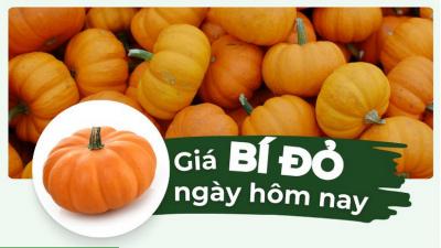 Cập nhật mới nhất giá bí đỏ hôm nay bao nhiêu 1kg?