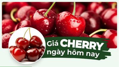 Cherry giá bao nhiêu 1kg? Bảng giá Cherry hôm nay