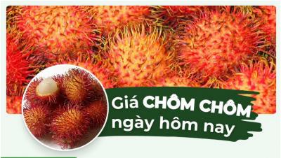 Chôm chôm bao nhiêu 1kg? Giá chôm chôm ngày hôm nay