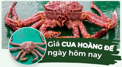 Cua hoàng đế bao nhiêu tiền 1kg? Cập nhật giá cua hoàng đế hôm nay