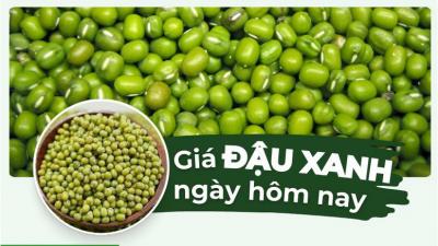 Đậu xanh bao nhiêu 1kg? Giá đậu xanh hôm nay