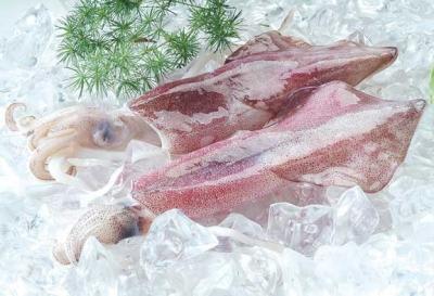 Đơn vị cung cấp hải sản nhập khẩu chất lượng tại Bình Dương