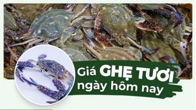 Ghẹ bao nhiêu 1kg? Giá ghẹ hôm nay