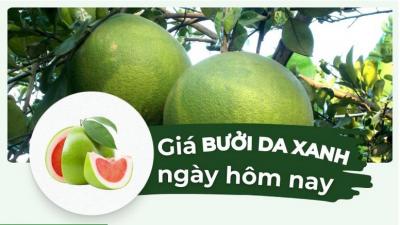 Giá bưởi da xanh bao nhiêu? Cập nhật mới nhất hôm nay