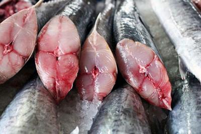 Giá Cá Thu Mới Nhất: Bí Quyết Mua Ngon – Rẻ – Chất Lượng!