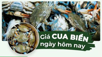 Giá cua biển bao nhiêu 1kg? Cập nhật giá cua bể đầy đủ, mới nhất