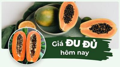 Giá đu đủ hôm nay bao nhiêu 1kg? Cập nhật giá đu đủ chín, ruột vàng mới