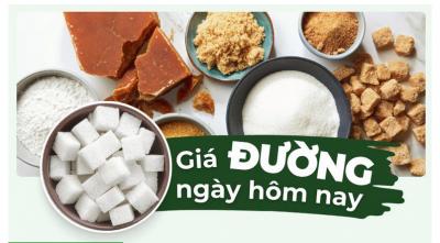 Giá đường hôm nay trong và ngoài nước | Cập nhật mới nhất