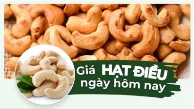 Giá hạt điều hôm nay cập nhật mới và đầy đủ nhất
