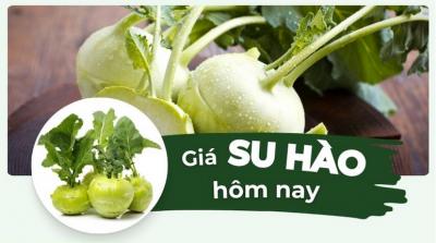 Giá su hào hôm nay bao nhiêu 1kg? Cập nhật giá su hào mới 24 giờ qua