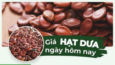 Hạt dưa bao nhiêu 1kg? Giá hạt dưa Tết hôm nay