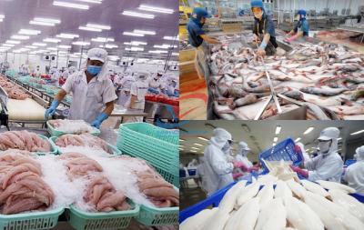 Kho hải sản đông lạnh giá sỉ Quận 3