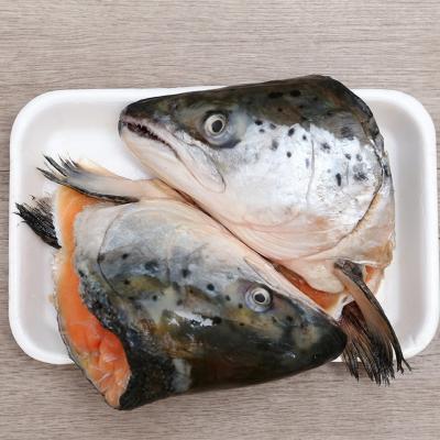 MUA SỈ ĐẦU CÁ HỒI NAUY – BAKKA SALMON tại TP.HCM