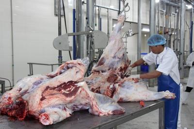 Thịt Trâu Đông Lạnh Nhập Khẩu Giá Rẻ Cho Đại Lý Sỉ Tại Quận 2 TPHCM