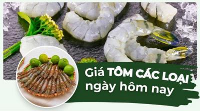 Tôm bao nhiêu 1kg? Cập nhật giá tôm hôm nay