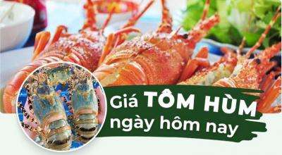 Tôm hùm bao nhiêu 1kg? Bảng giá tôm hùm hôm nay