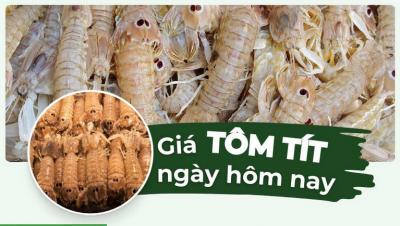 Tôm tít bao nhiêu 1kg? Giá tôm tít hôm nay