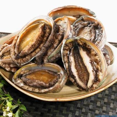 TOP 7 địa chỉ mua bào ngư tại Hà Nội