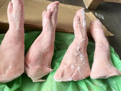 Vifood đơn vị nhập khẩu và phân phối sỉ Giò heo trước nguyên cái Greenstock