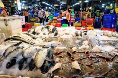 Vựa cá chợ bình điền