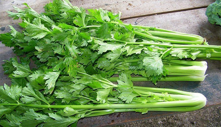 Ăn rau cần tây có tác dụng gì?