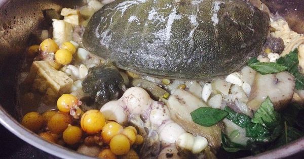 bảng báo giá cua đinh giá rẻ nhất hiện nay