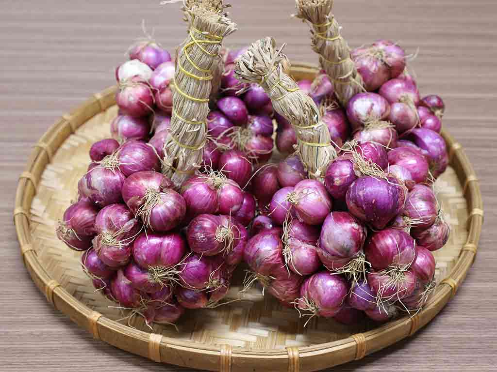 Củ hành tím khô