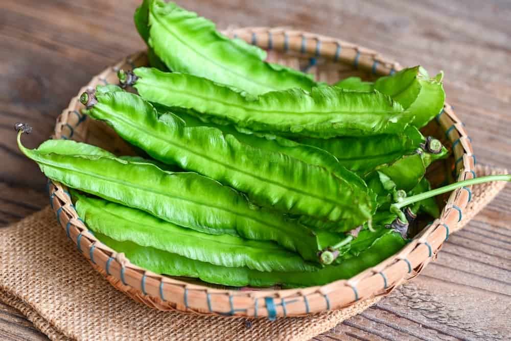 Đậu rồng là gì? Những lợi ích của cây đậu rồng không phải ai cũng biết