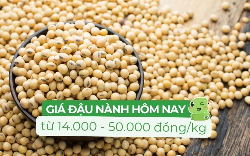 Giá đậu nành hôm nay dao động từ 14.000 - 90.000 đồng/kg