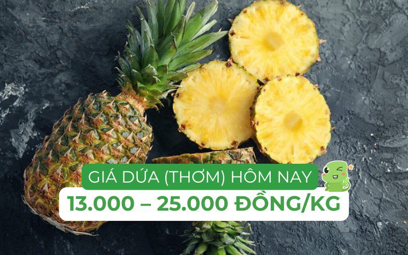 Giá thơm hôm nay dao động trong khoảng 13.000 – 25.000 đồng/kg