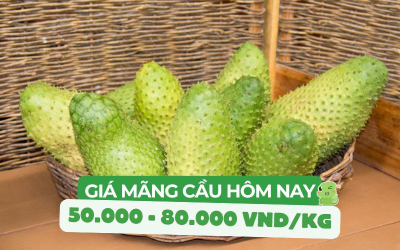 Giá mãng cầu hôm nay dao động từ 50.000 đồng - 80.000 VND/kg