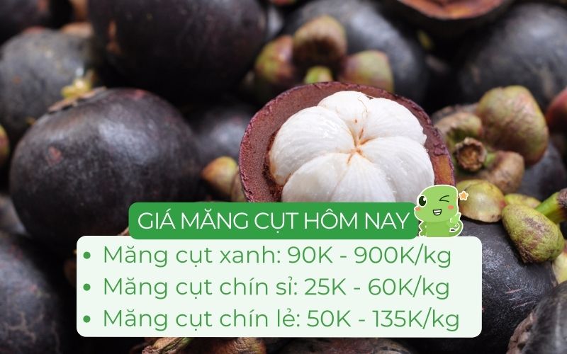 Giá măng cụt xanh và măng cụt chính trên thị trường hiện nay