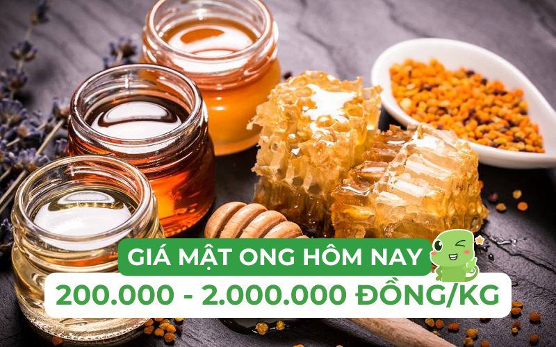 Giá các loại mật ong dao động từ 200.000 đến 2.000.000 đồng/lít tùy loại