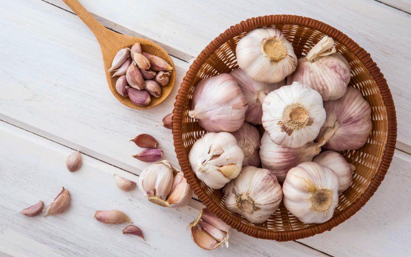 Tỏi là gia vị quen thuộc trong ẩm thực với nhiều lợi ích cho sức khỏe