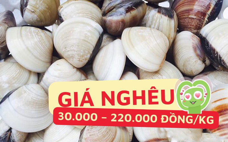 Giá nghêu dao động từ 30.000 đến 220.000 đồng/kg