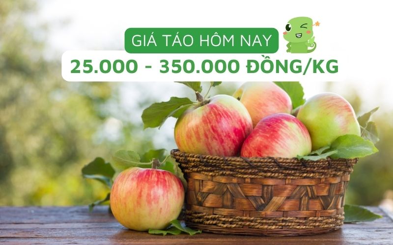 Giá táo đa dạng từ 25.000 - 350.000 đồng/kg, nhiều lựa chọn từ nội địa đến nhập khẩu