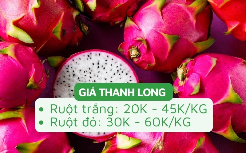 Giá thanh long hôm nay từ 18.000 đến 60.000 đồng/kg