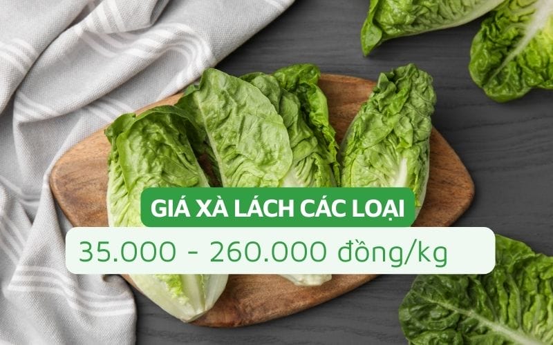Giá xà lách dao động từ 35.000 - 260.000 đồng/kg