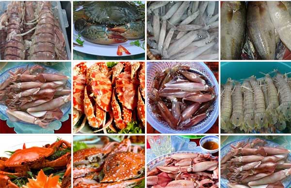 HẢI SẢN ĐÔNG LẠNH MỘT SỰ LỰA CHỌN AN TOÀN