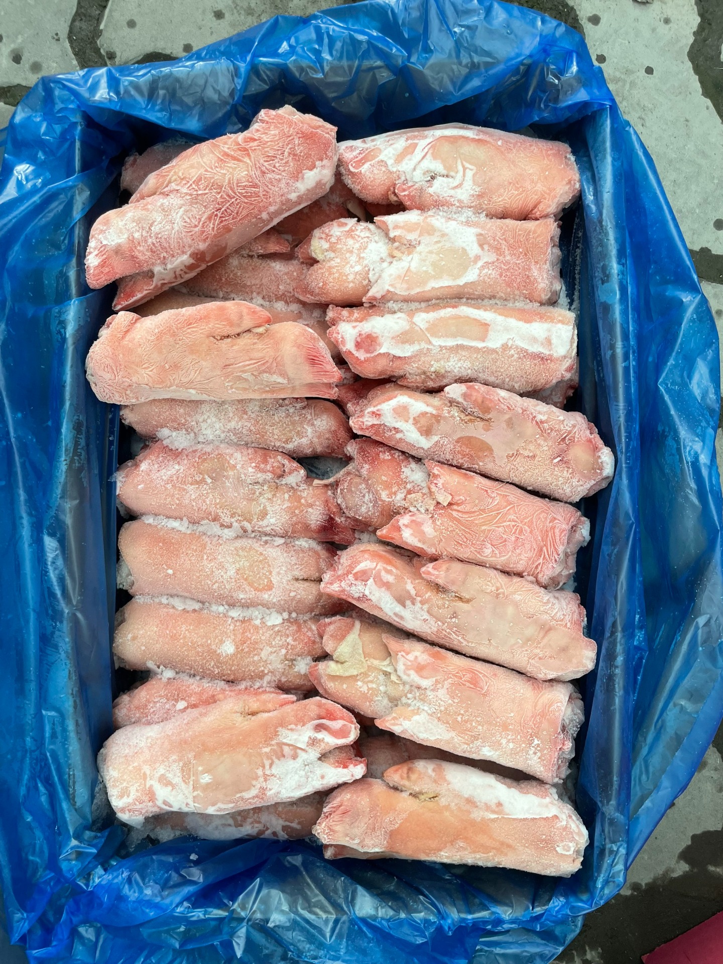 DỰNG TRƯỚC ĐÔNG LẠNH