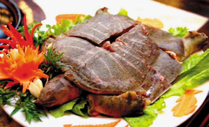 7 Địa chỉ bán baba tươi sống, chất lượng tại Hà Nội