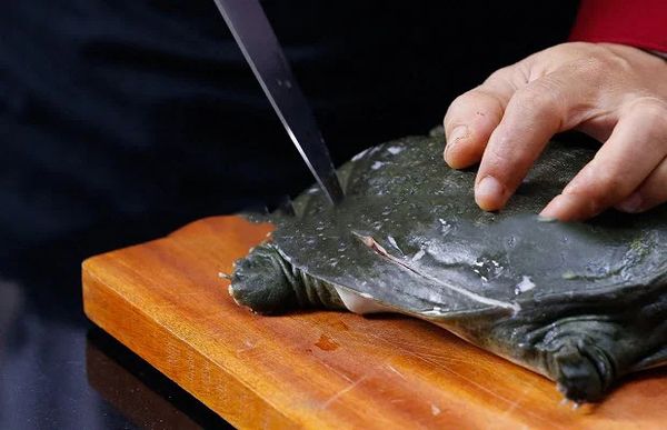5+ Địa chỉ bán ba ba tươi sống, chất lượng tại TP HCM 3 6