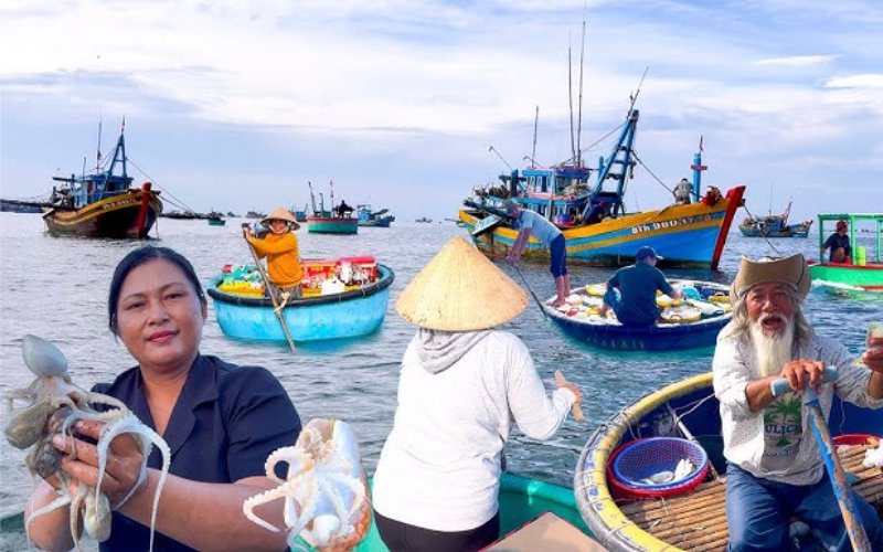 Giá bạch tuộc sống phụ thuộc vào phân loại, mùa vụ và nhu cầu thị trường.