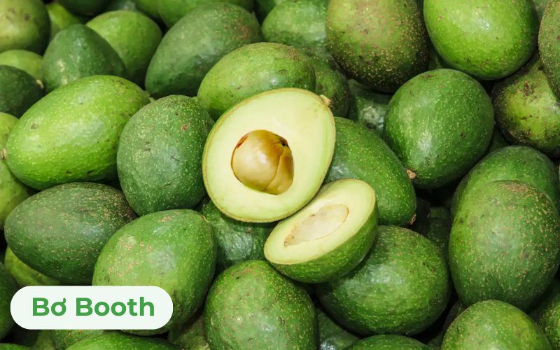 Bơ Booth có mức giá trung bình nên được nhiều khách hàng lựa chọn