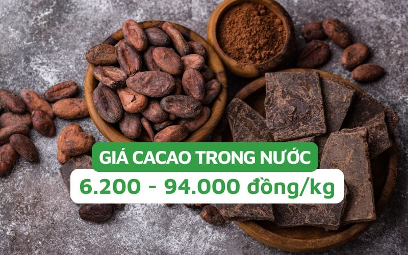 Giá cacao trong nước tháng 2/2025: Dao động từ 6.200 đến 94.000 đồng/kg, tùy loại
